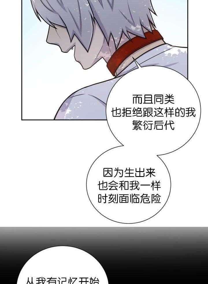 《旷野之息》漫画最新章节第87话 向往免费下拉式在线观看章节第【33】张图片