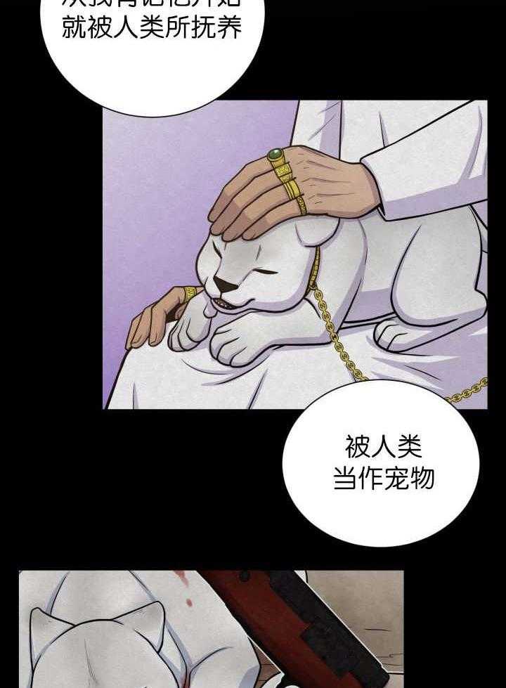 《旷野之息》漫画最新章节第87话 向往免费下拉式在线观看章节第【32】张图片