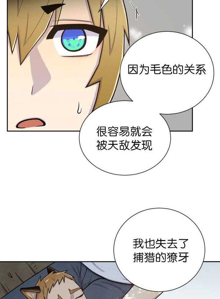 《旷野之息》漫画最新章节第87话 向往免费下拉式在线观看章节第【35】张图片