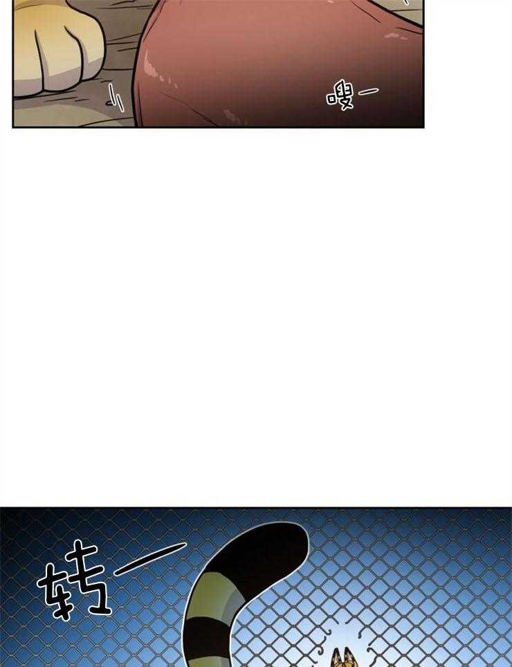 《旷野之息》漫画最新章节第88话 出去了免费下拉式在线观看章节第【16】张图片