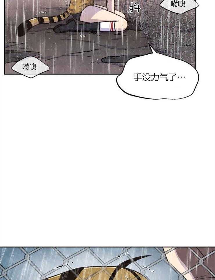 《旷野之息》漫画最新章节第91话 去哪儿了（第一季完结）免费下拉式在线观看章节第【45】张图片