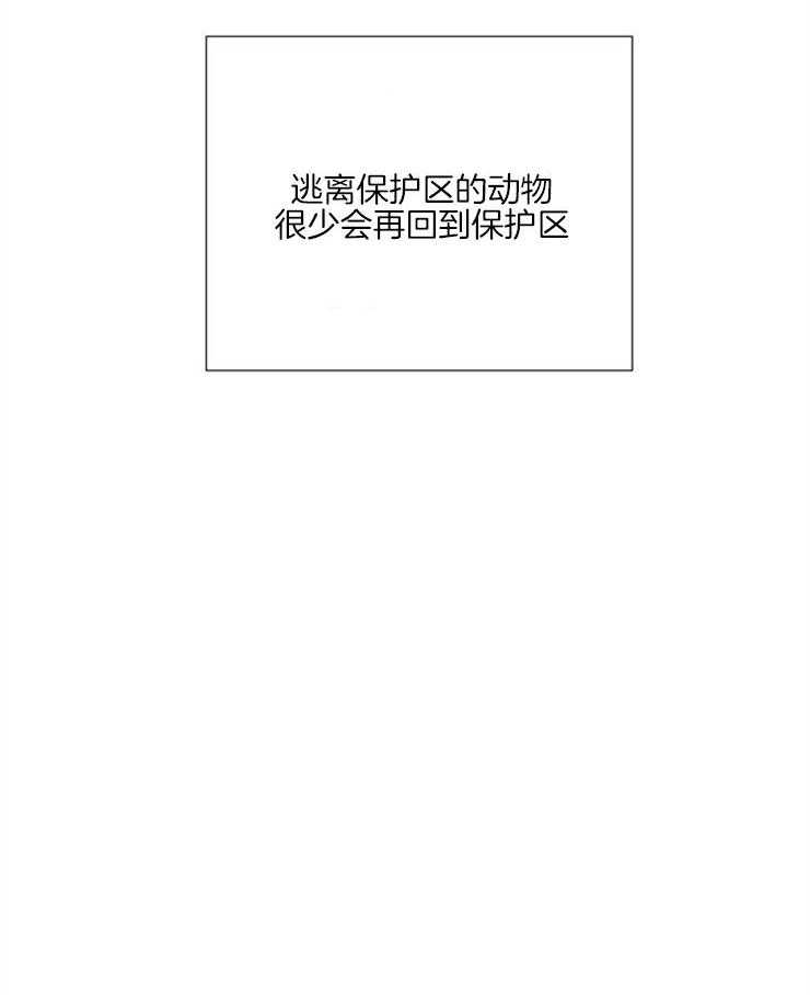 《旷野之息》漫画最新章节第91话 去哪儿了（第一季完结）免费下拉式在线观看章节第【29】张图片