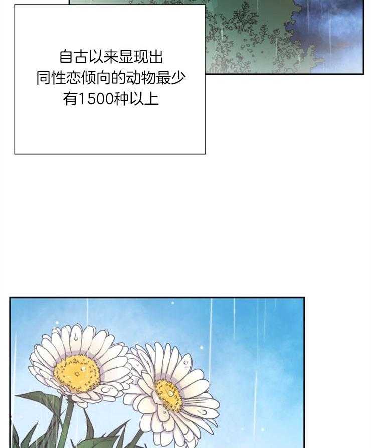 《旷野之息》漫画最新章节第91话 去哪儿了（第一季完结）免费下拉式在线观看章节第【17】张图片