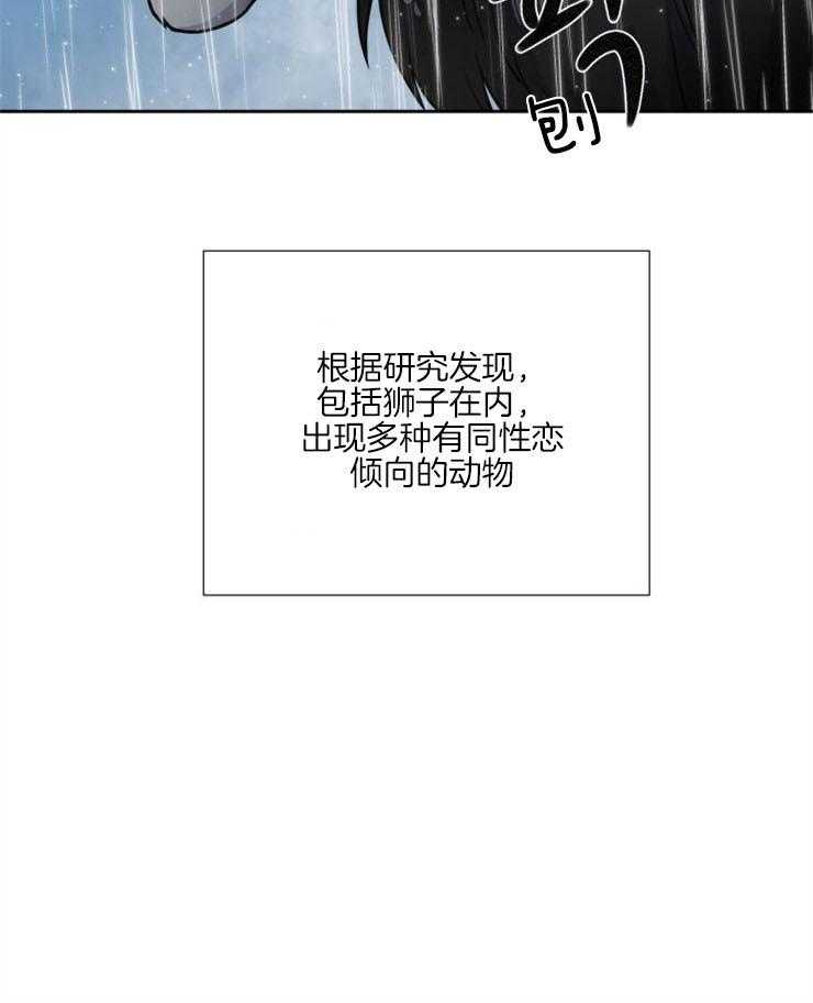 《旷野之息》漫画最新章节第91话 去哪儿了（第一季完结）免费下拉式在线观看章节第【22】张图片