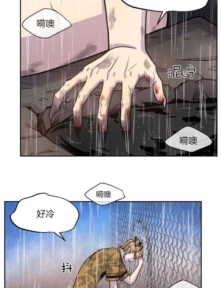 《旷野之息》漫画最新章节第91话 去哪儿了（第一季完结）免费下拉式在线观看章节第【46】张图片