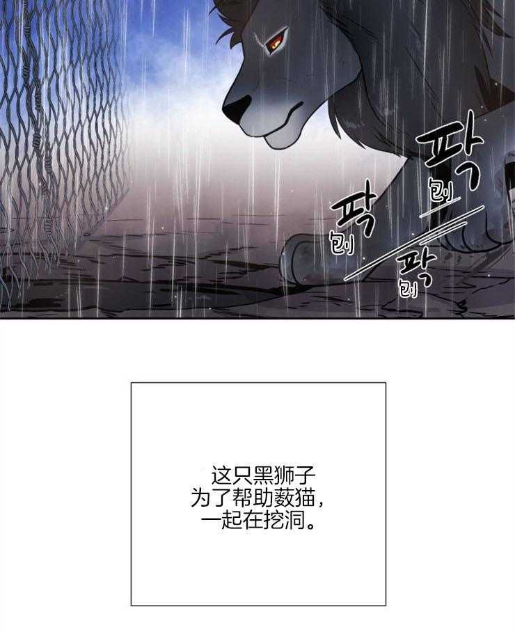 《旷野之息》漫画最新章节第91话 去哪儿了（第一季完结）免费下拉式在线观看章节第【26】张图片