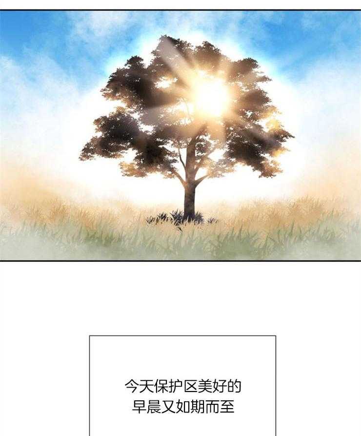 《旷野之息》漫画最新章节第91话 去哪儿了（第一季完结）免费下拉式在线观看章节第【14】张图片