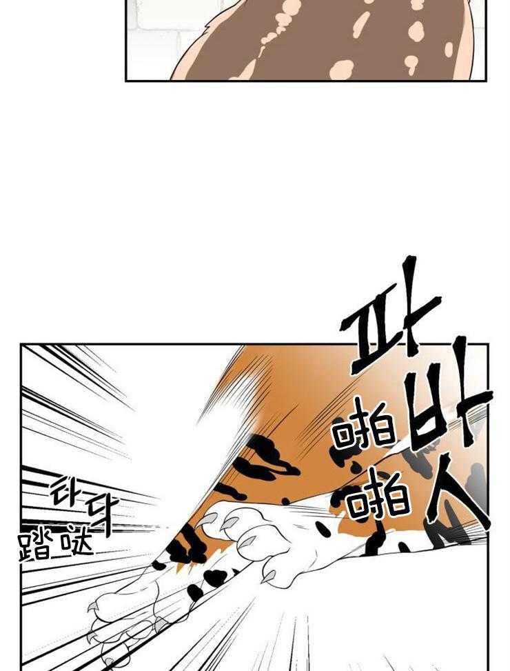 《旷野之息》漫画最新章节第94话 看看他们过得好不好（第二季）免费下拉式在线观看章节第【14】张图片