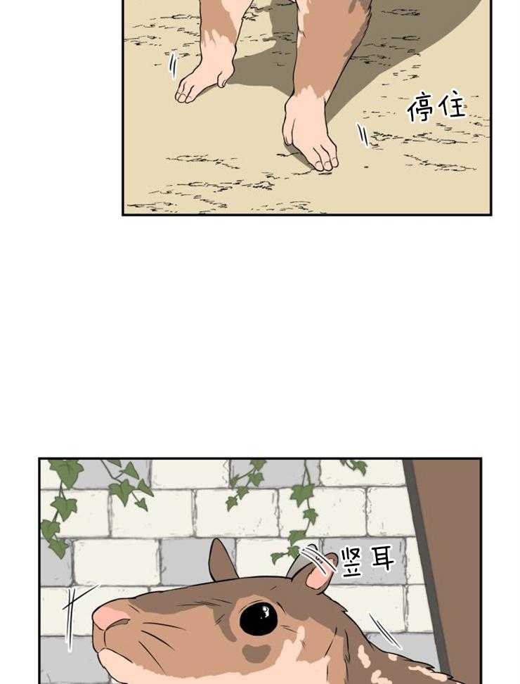 《旷野之息》漫画最新章节第94话 看看他们过得好不好（第二季）免费下拉式在线观看章节第【23】张图片