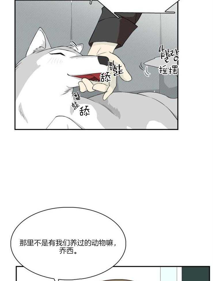 《旷野之息》漫画最新章节第94话 看看他们过得好不好（第二季）免费下拉式在线观看章节第【6】张图片