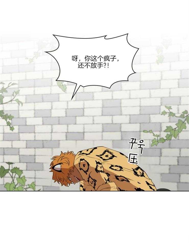 《旷野之息》漫画最新章节第95话 也不过如此免费下拉式在线观看章节第【13】张图片