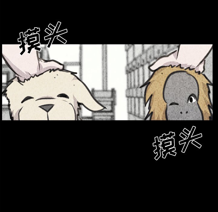 《惊奇宠物店》漫画最新章节第20话 20免费下拉式在线观看章节第【11】张图片