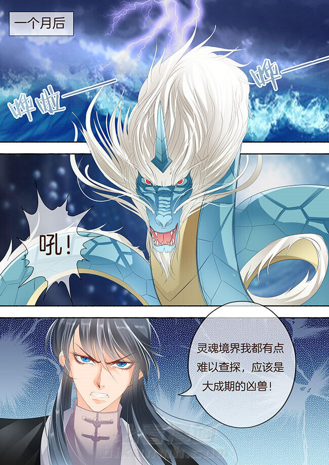 《星辰变》漫画最新章节第238话 238免费下拉式在线观看章节第【5】张图片