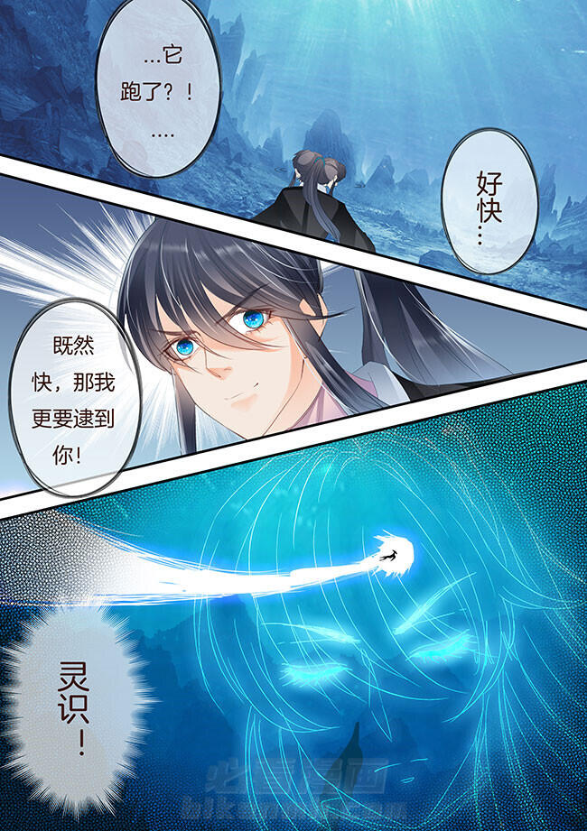 《星辰变》漫画最新章节第241话 241免费下拉式在线观看章节第【6】张图片