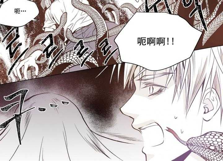 《无法击破的主君大人》漫画最新章节第5话 5免费下拉式在线观看章节第【19】张图片