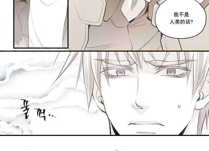 《无法击破的主君大人》漫画最新章节第9话 9免费下拉式在线观看章节第【3】张图片