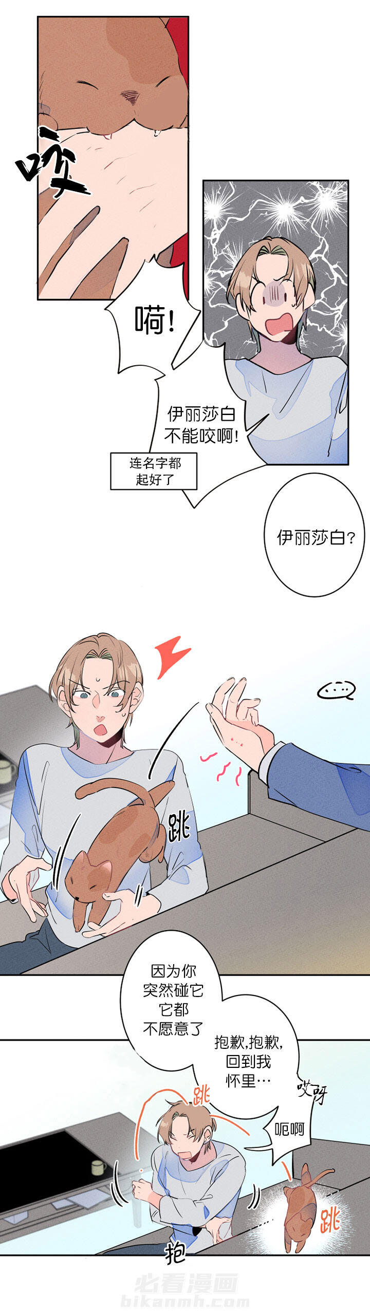 《结婚？可以啊！》漫画最新章节第16话 捡只狗狗回家免费下拉式在线观看章节第【4】张图片