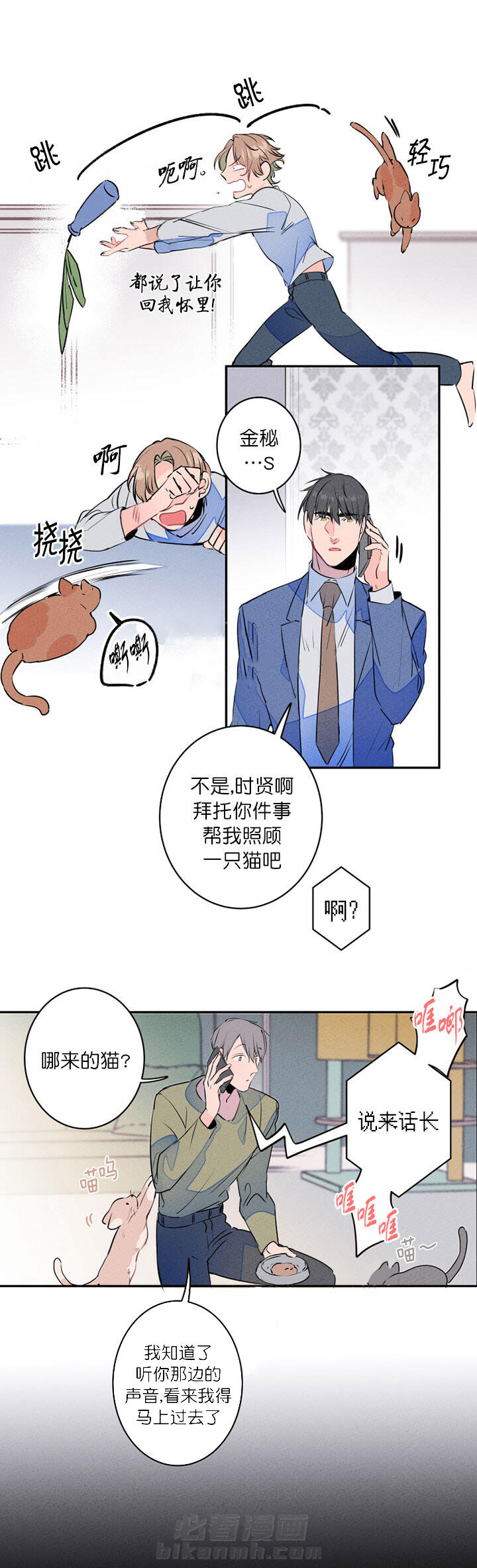 《结婚？可以啊！》漫画最新章节第16话 捡只狗狗回家免费下拉式在线观看章节第【2】张图片