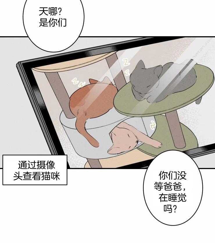 《结婚？可以啊！》漫画最新章节第61话 番外_不开心？免费下拉式在线观看章节第【21】张图片