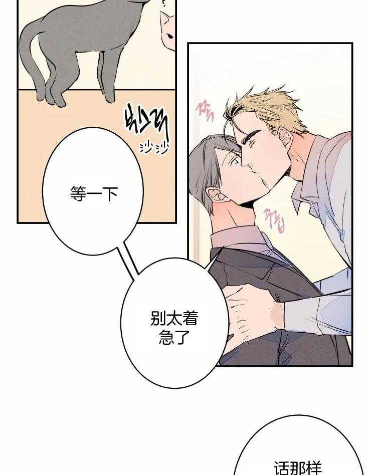 《结婚？可以啊！》漫画最新章节第64话 番外_是毛孩子啊免费下拉式在线观看章节第【15】张图片