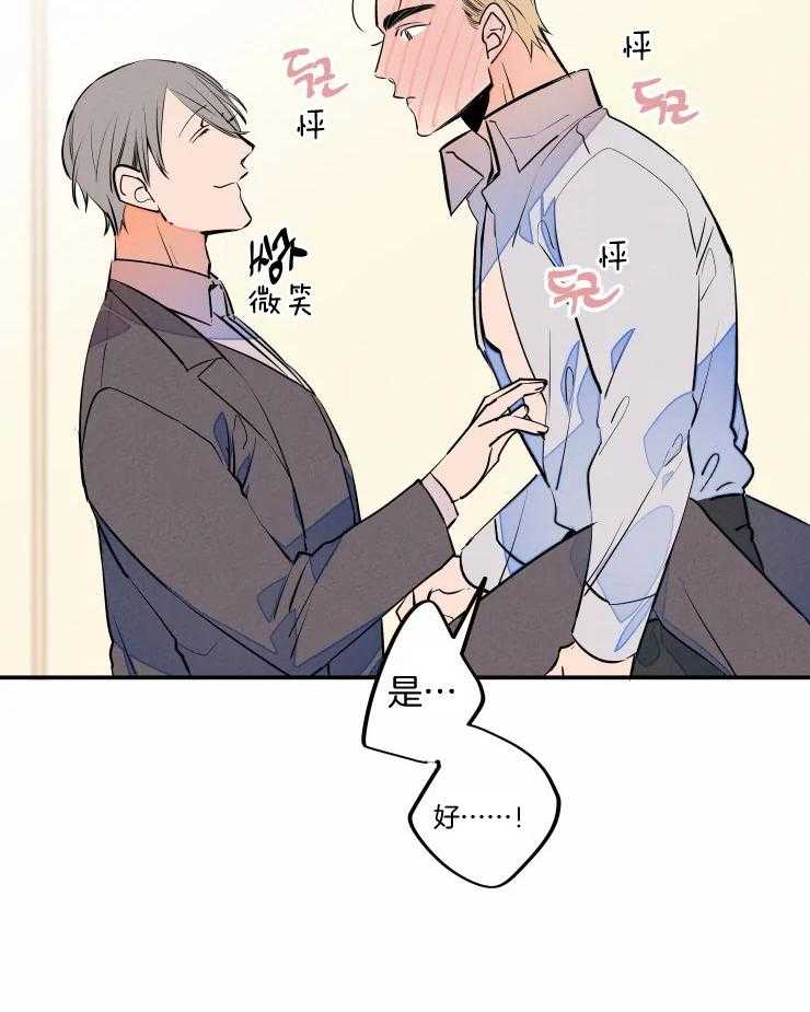 《结婚？可以啊！》漫画最新章节第64话 番外_是毛孩子啊免费下拉式在线观看章节第【10】张图片