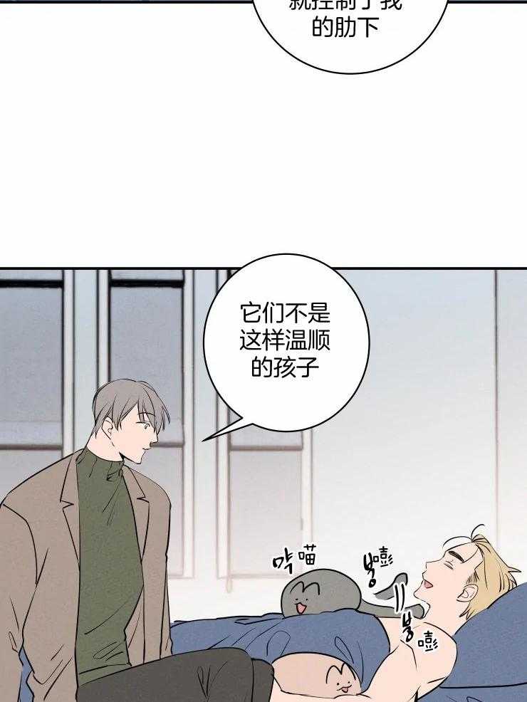 《结婚？可以啊！》漫画最新章节第73话 番外_甘愿被利用免费下拉式在线观看章节第【17】张图片