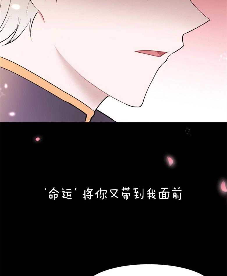 《天呐陛下》漫画最新章节第70话 生活意义免费下拉式在线观看章节第【5】张图片