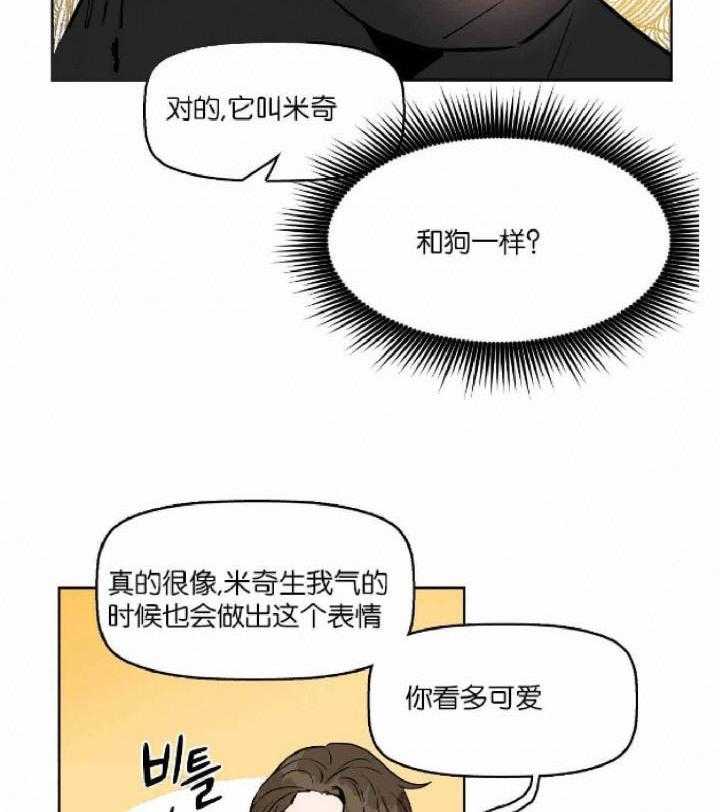 《吻我骗子》漫画最新章节第20话 第20话免费下拉式在线观看章节第【20】张图片