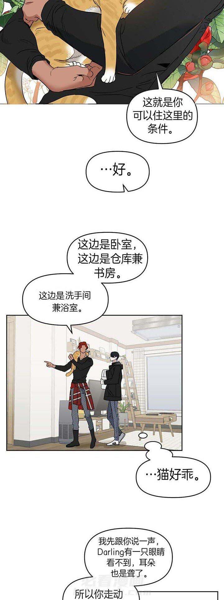 《吻我骗子》漫画最新章节第79话 获救免费下拉式在线观看章节第【5】张图片