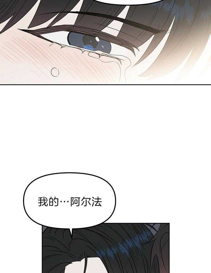 《吻我骗子》漫画最新章节第101话 耳朵除外免费下拉式在线观看章节第【13】张图片