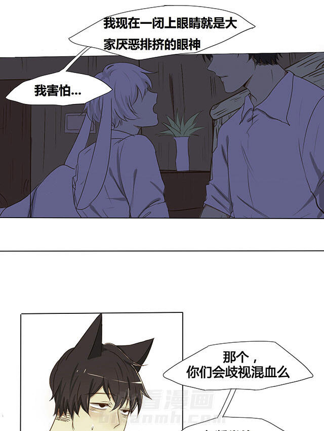 《似兔非兔》漫画最新章节第3话 似兔非兔免费下拉式在线观看章节第【12】张图片