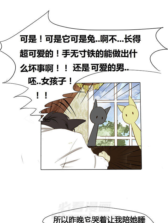 《似兔非兔》漫画最新章节第3话 似兔非兔免费下拉式在线观看章节第【20】张图片