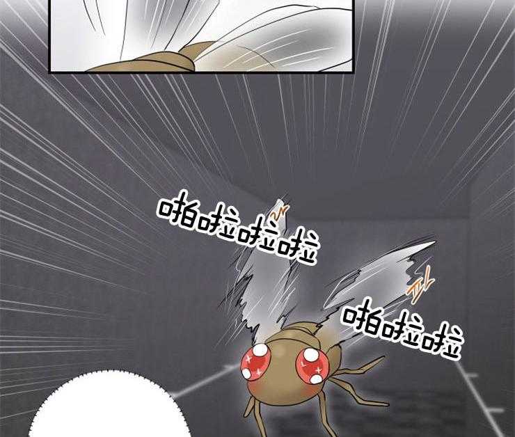 《我的X报告》漫画最新章节第79话 79_好想他免费下拉式在线观看章节第【37】张图片