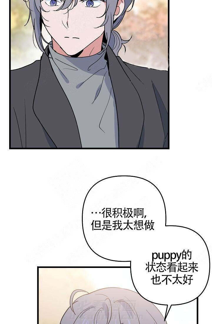 《一见倾心》漫画最新章节第14话 特别免费下拉式在线观看章节第【17】张图片