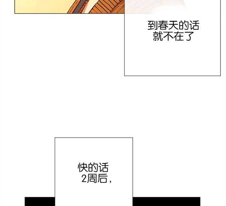 《红色糖果》漫画最新章节第56话 一起去看花免费下拉式在线观看章节第【23】张图片