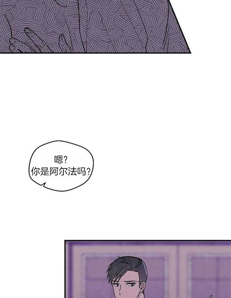 《结婚契约》漫画最新章节第29话 信息素上瘾吗免费下拉式在线观看章节第【19】张图片