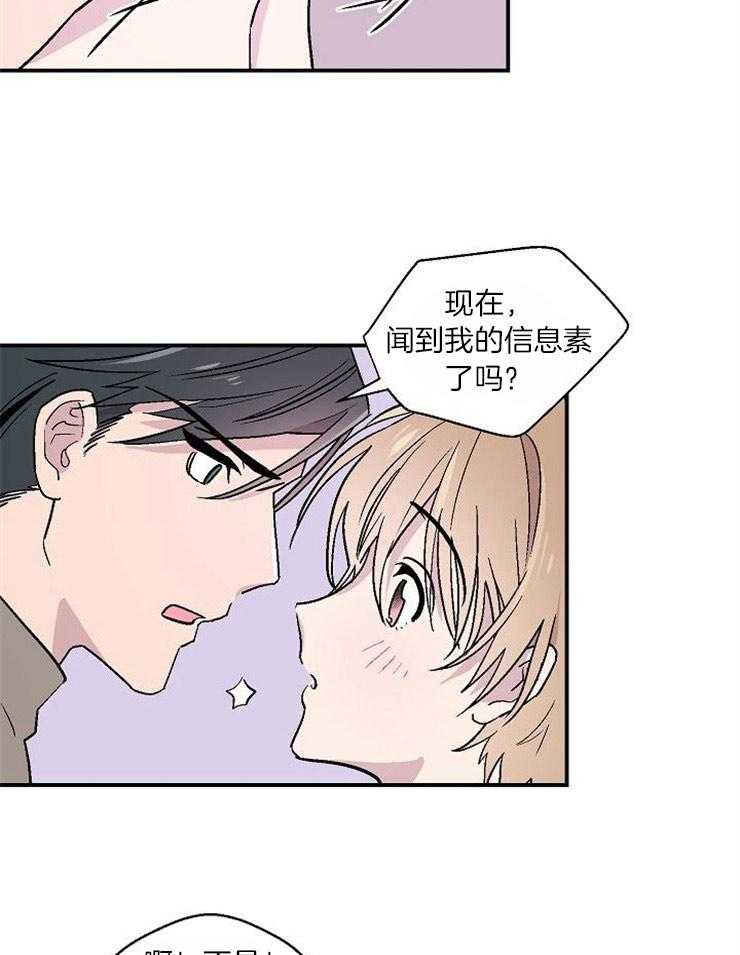 《结婚契约》漫画最新章节第29话 信息素上瘾吗免费下拉式在线观看章节第【6】张图片