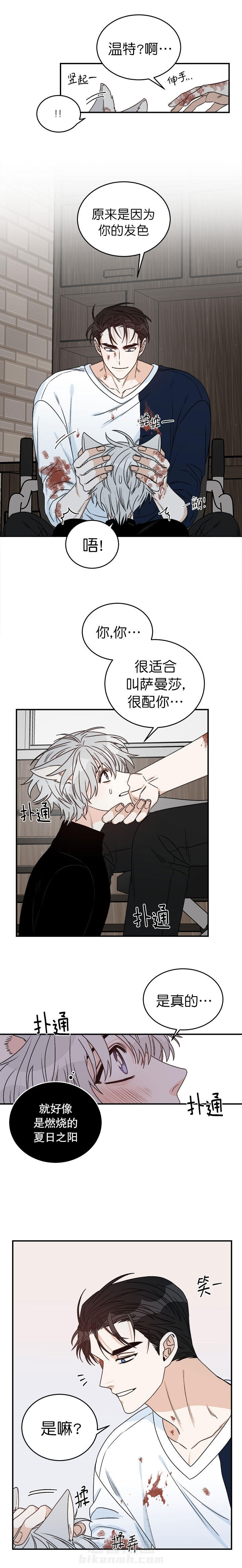 《逐龙》漫画最新章节第34话 狼人免费下拉式在线观看章节第【4】张图片