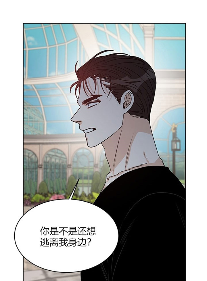 《逐龙》漫画最新章节第89话 让你幸福（完）免费下拉式在线观看章节第【31】张图片