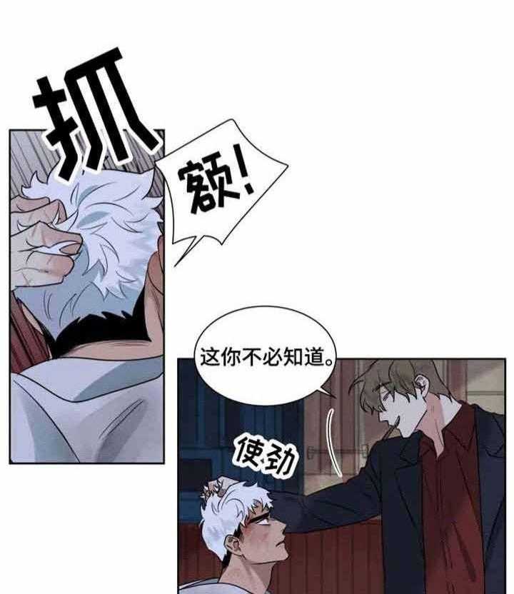 《献身救援》漫画最新章节第23话 被袭免费下拉式在线观看章节第【4】张图片