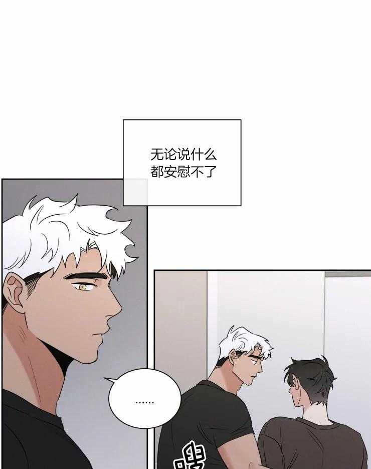 《献身救援》漫画最新章节第37话 再无瓜葛免费下拉式在线观看章节第【5】张图片