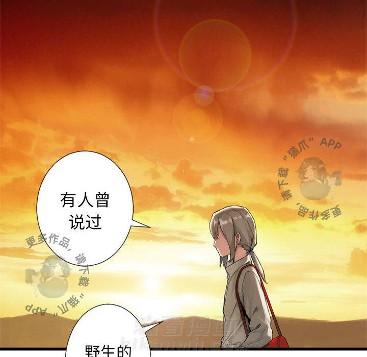 《她的召唤兽》漫画最新章节第14话 14免费下拉式在线观看章节第【49】张图片