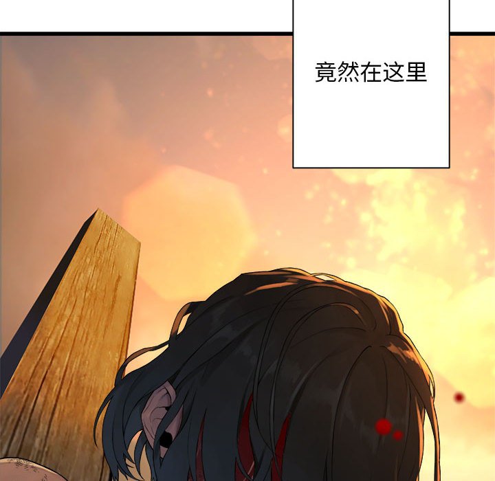 《她的召唤兽》漫画最新章节第78话 78免费下拉式在线观看章节第【20】张图片