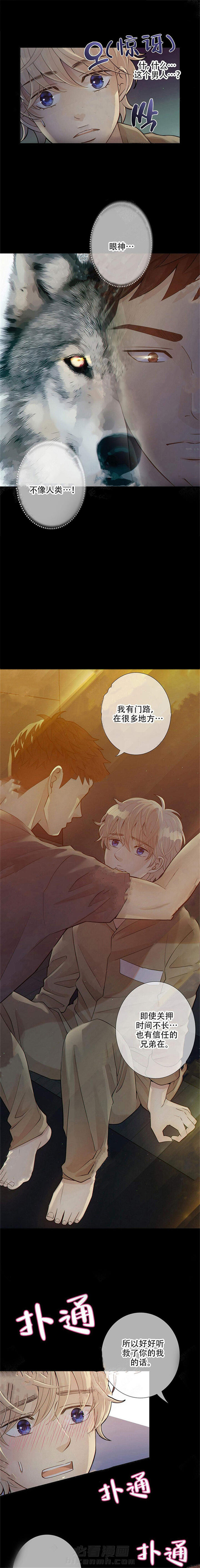 《狼与狗的时间》漫画最新章节第10话 不像人类免费下拉式在线观看章节第【7】张图片