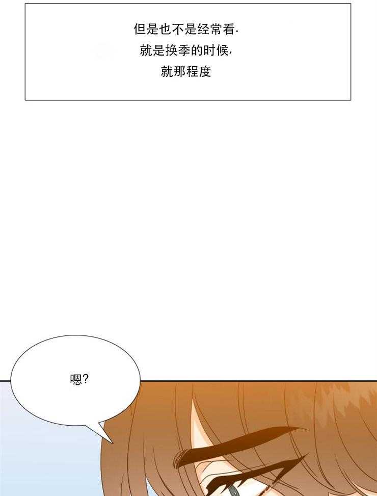 《恋爱等级》漫画最新章节第74话 74免费下拉式在线观看章节第【12】张图片