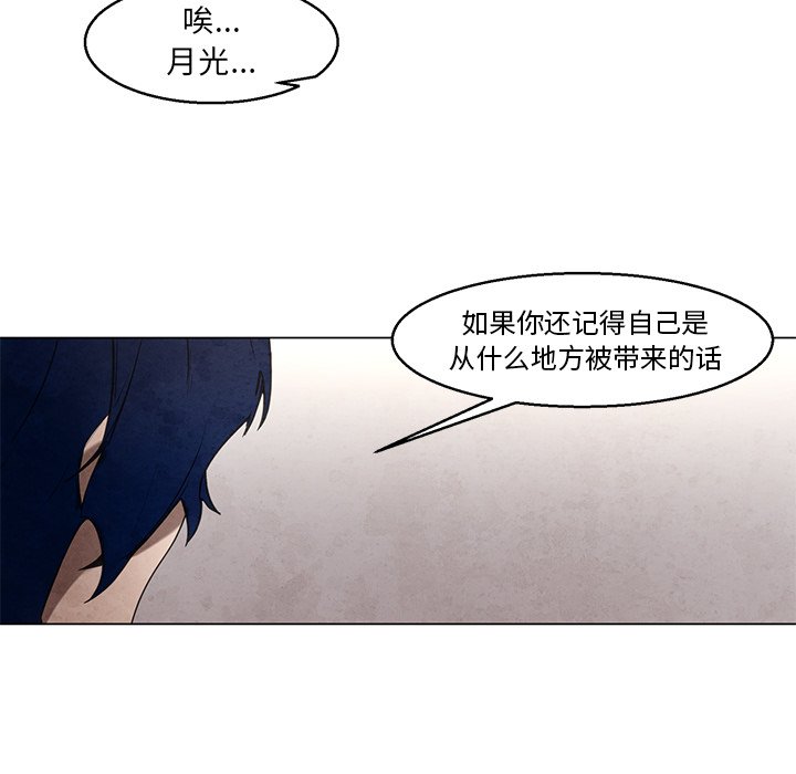 《极速追击：猎犬》漫画最新章节第39话 39免费下拉式在线观看章节第【13】张图片