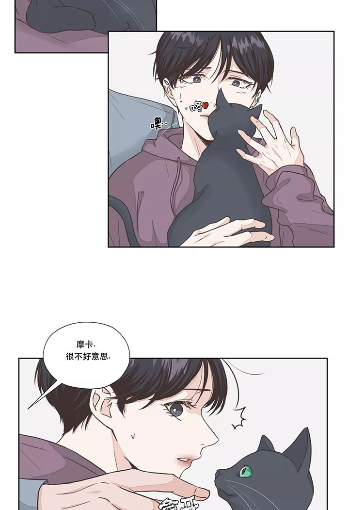 《水上歌者》漫画最新章节第6话 猫免费下拉式在线观看章节第【2】张图片