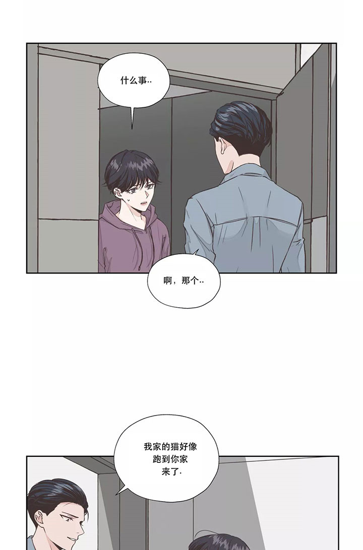 《水上歌者》漫画最新章节第6话 猫免费下拉式在线观看章节第【15】张图片