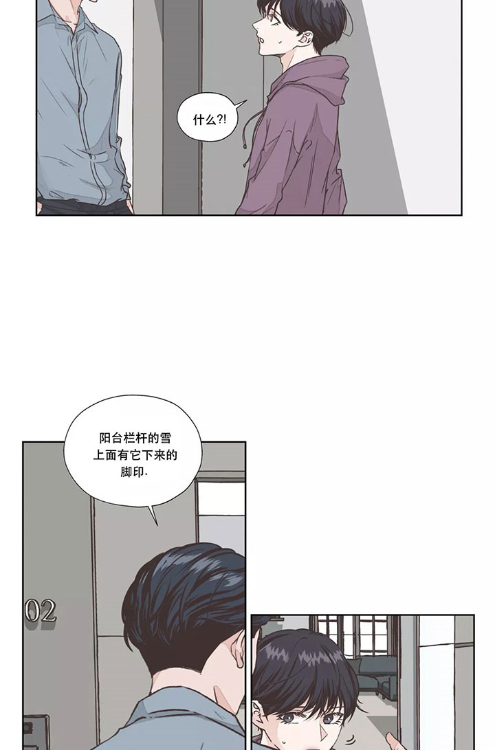 《水上歌者》漫画最新章节第6话 猫免费下拉式在线观看章节第【14】张图片