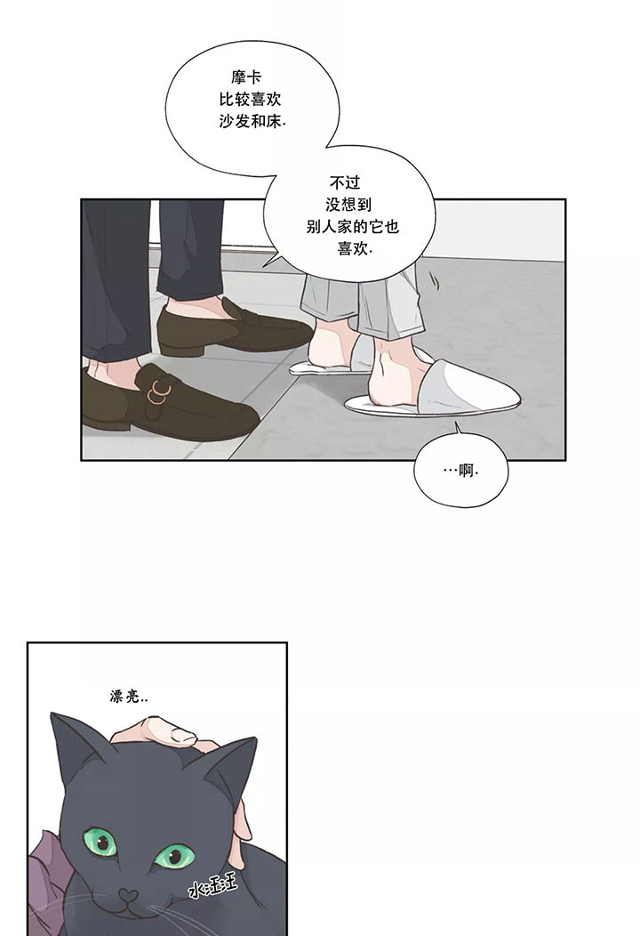 《水上歌者》漫画最新章节第6话 猫免费下拉式在线观看章节第【3】张图片